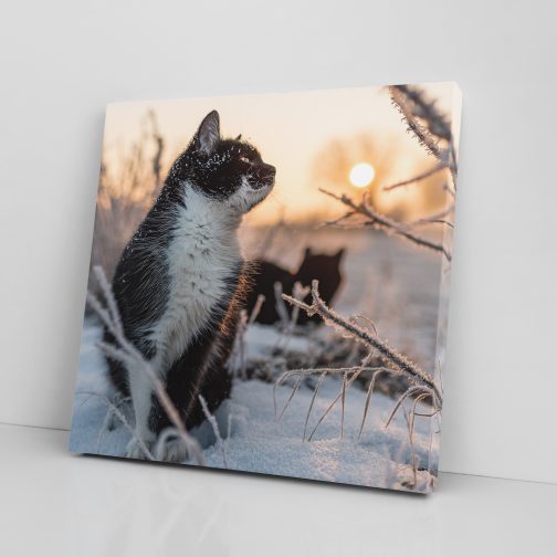 Fotoobraz  40x40cm "Mroźny poranek"